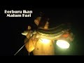 Berburu Ikan Di Malam Hari Bersama Suku Dayak Iban Dusun Ungak