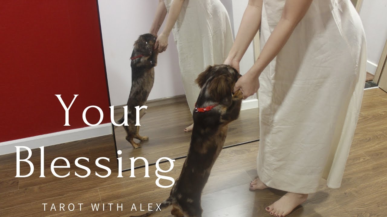Phước lành nào đang đến với bạn ?  - Timeless | Tarot