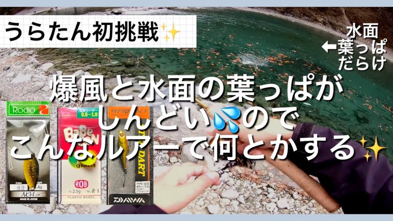 うらたん初挑戦✨爆風と水面の葉っぱがしんどい💦のでこんなルアーで何とかする✨【エリアトラウト】