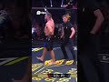 Mastering the Stiff Left Jab  #fighting #mma #knockout #knockouts