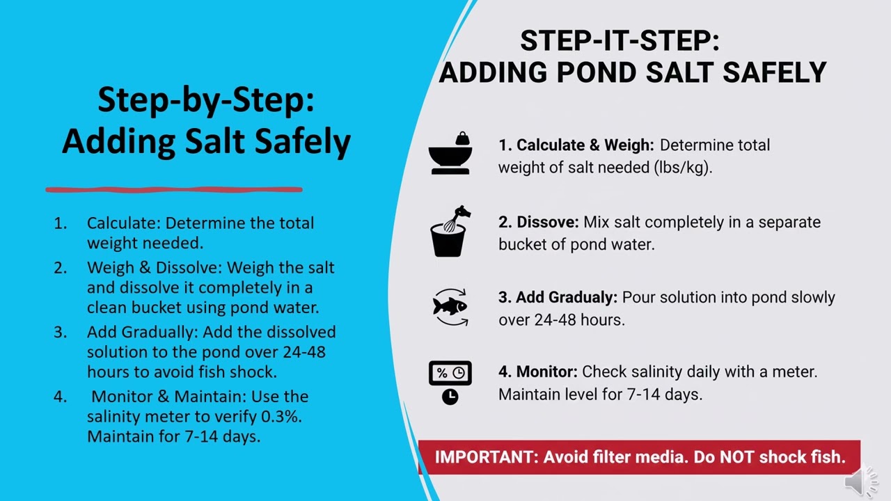 Safe Salt Treatment for Koi Ponds | Correct Dosage, Benefits & Removal Guide