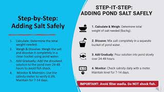Safe Salt Treatment for Koi Ponds | Correct Dosage, Benefits & Removal Guide