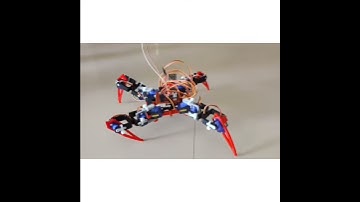 A SpiderBOT