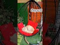 Cat’s favorite spot 🐱This swing=her happy place 💕#CatLife #CatSwing#FavoriteSpot #CatLove #PetLife 🐾