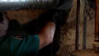 All Out Wildlife Control Removes Raccoon Litter From Chimney