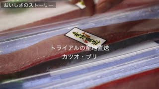 産地の新鮮なお魚を食卓に。トライアルの「産地直送」プロジェクトが始まりました！