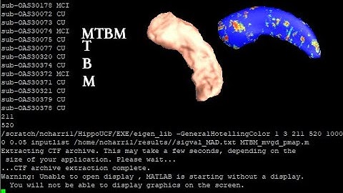 CSE486: Multivariate Tensor Based Morphometry for Brain Imaging Analysis Showcase!