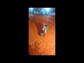 Montaria do Campeão da Expo Londrina Emerson de Brito - Isso é PBR