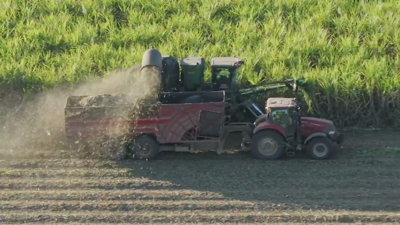 The Harvest Childers: Trains and Harvesters 2024