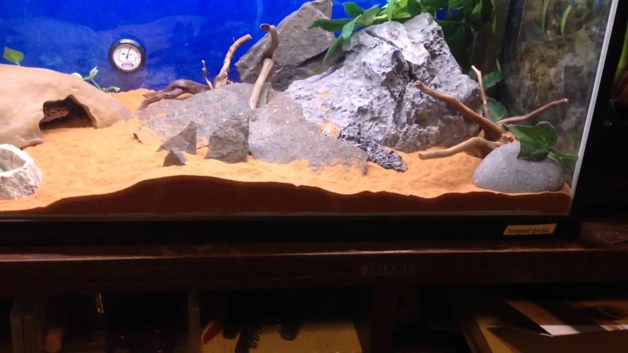 herping gear Ben Armatage contest entry!