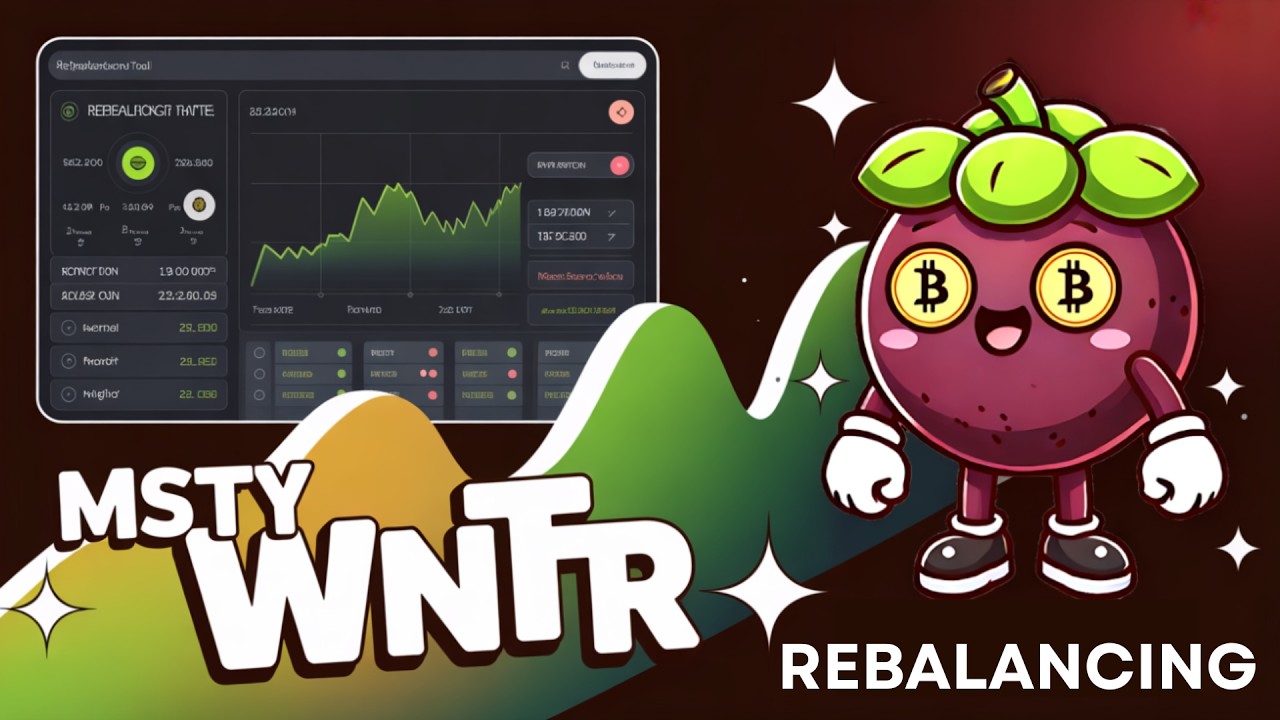 Understanding MSTY & WNTR: How Balanced Exposure Can Help Manage Risk