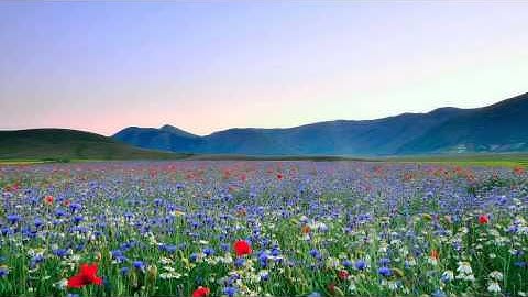 سورة التحريم عبدالرحمن السديس - Surah At Tahrim Abdulrahman Al-Sudais