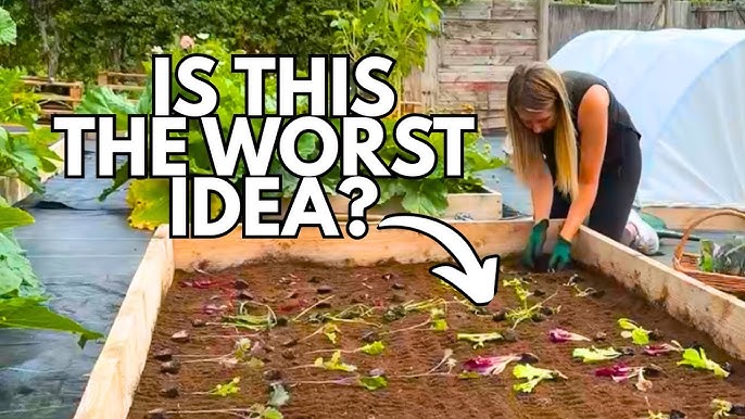 How Should I Design My Vegetable Garden: Expert Tips