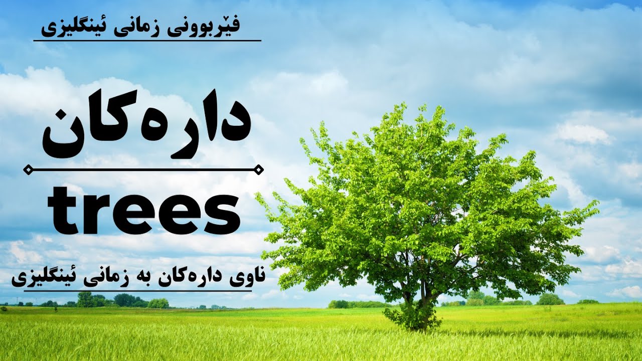 دارەکان بە ئینگلیزی #ئینگلیزی فێربوونی زمانی ئینگلیزی