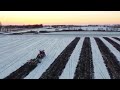 Tillage in the Snow!