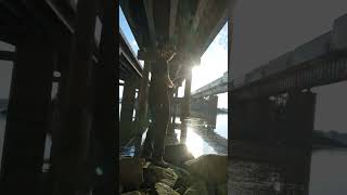 Engineer of passing train says good morning and waves 👋 #fishing #justfishing #fishingdaily #train