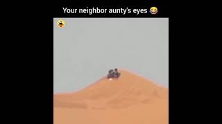 Your Neighbor Auntys Eyes L