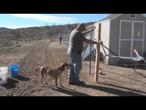 gardanimal-welded-wire-fence