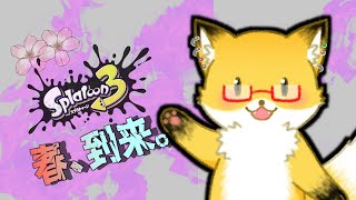 【 スプラトゥーン３】設定をいじったのでテスト配信を兼ねたバンカラマッチ【ちゅうけんぽちこう】