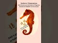 Male pregnancy 😆 | Seahorse giving birth | Unique male reproductive behavior