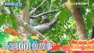 野放樹懶孤兒 訓練追蹤夜未眠 part2地球的孤兒1001個故事