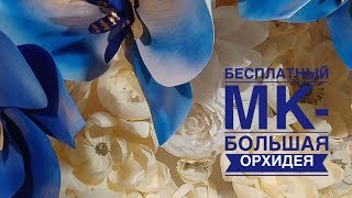 Как сделать Цветы из фоамирана/Ростовые цветы/ Giant flowers/ Flower making/Орхидея из изолона