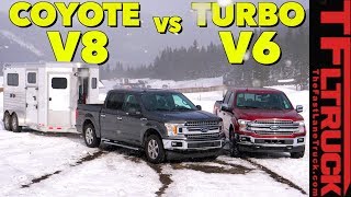 You Asked For It! Ford F-150 V8 and EcoBoost V6 Take On The World