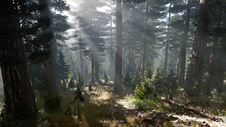 Ubisoft | Far Cry 5 | Houdini Connect
