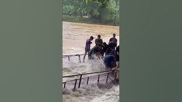 Bắt cá siêu to mùa lũ