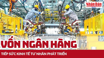 Vốn ngân hàng tiếp sức kinh tế tư nhân phát triển | Báo Nhân Dân