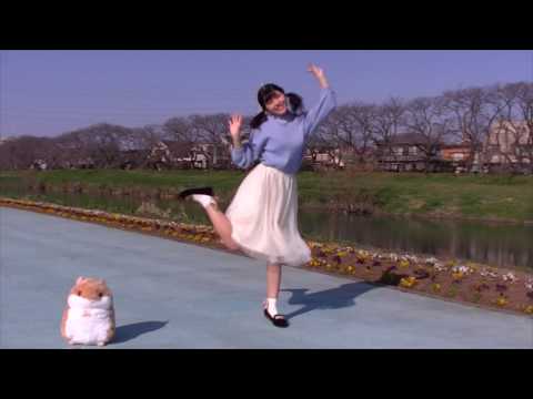 【みとん】きょうもハレバレ　踊ってみた【2017】