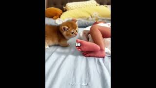 Papá Regala un Gatito a su Hija 😻🎁