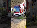 【鹿児島市電1014号】【新川4号踏切】を通過します。 #shorts #鹿児島市電 #tram