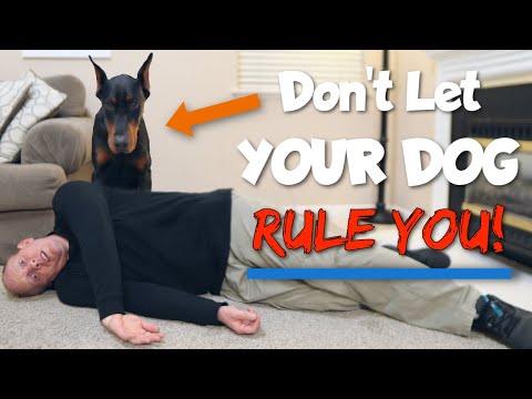 How to Get