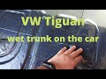 Volkswagen tiguan  wet trunk on the car  dew on the windows 