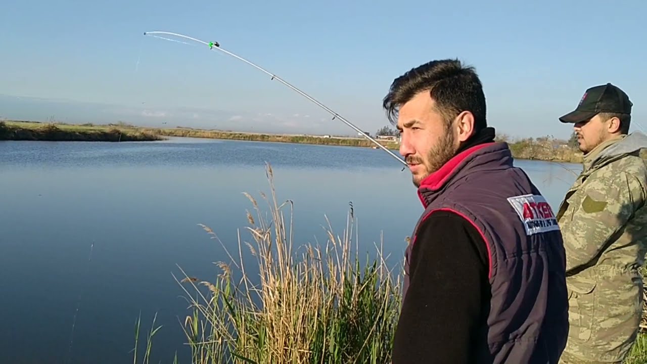 Balık avı adana ırmağında zillerin resitali 👍