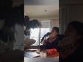 A hawk flew inside of her house 😱