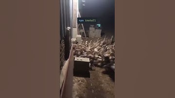 Npm install 😂 #coding #reactjs #shorts