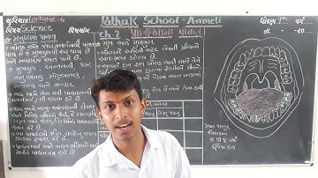 science | Std-7 | Lecture-6 | Pathak school-Amreli
