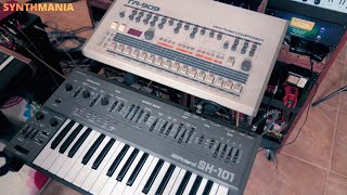 How to sync Roland TR-909 to SH-101