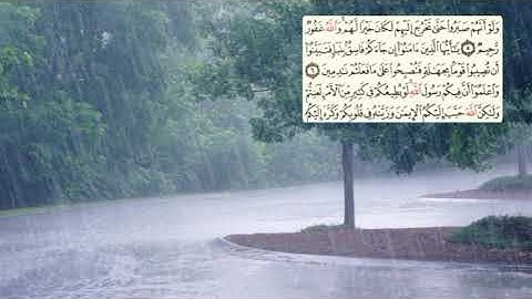 516-page -سعد الغامدي - -سورة -الحجرات AL-HUJURAT - 49