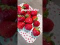 Fresas 🍓 con crema y gelatina