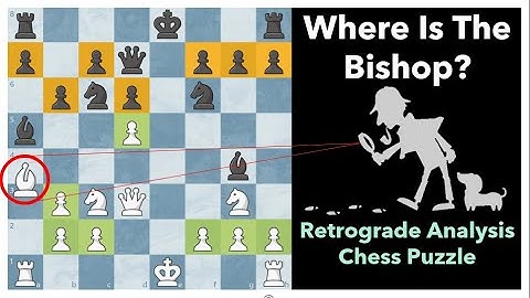 Chess Logic Puzzle ♙ Where Is The Bishop?! ♙ Retrograde Analysis ♙ Smullyan, 1979