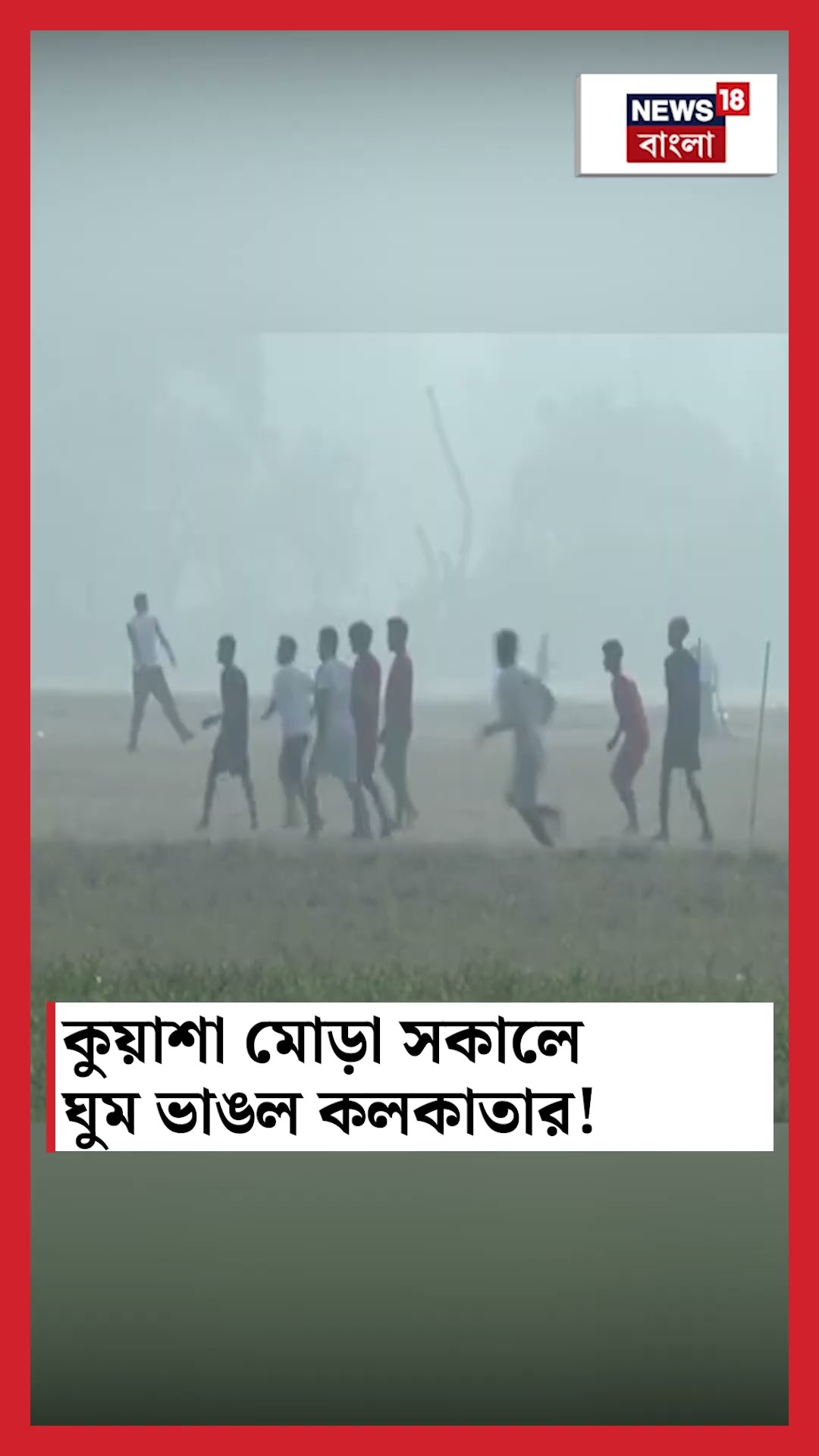 কুয়াশা মোড়া সকালে ঘুম ভাঙল Kolkataর ! #shorts