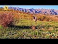 Legendary Hill Trap | Ultimate Survival Tool for Mountains 