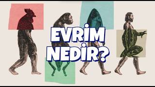 Evrim nedir? Neden bu ön yargı?