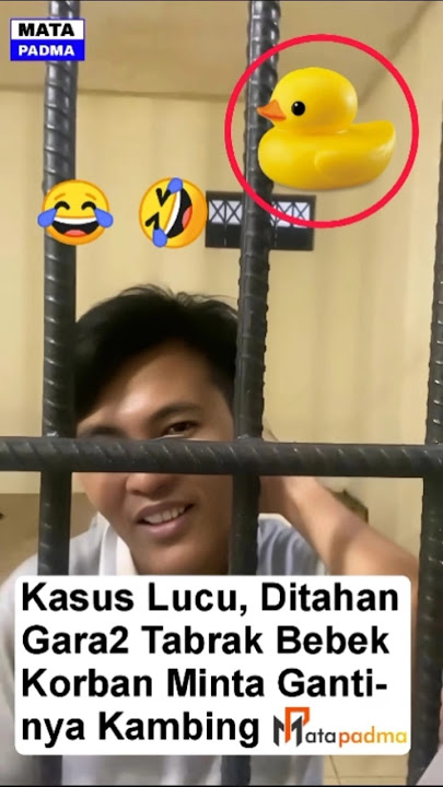 Kasus Lucu, DitahanGara2 Tabrak Bebek Korban Minta Gantinya Kambing