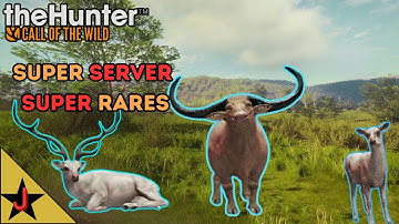 🔥 Insane Server And Its NOT MODDED🔥  The Hunter COTW #callofthewild