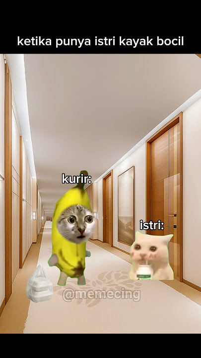 kalo gw kurirnya malu tuh #meme #memekucing #kucing #kucinglucu #shorts #catlovers