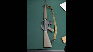 Kobas critique the AR 15 rifle for SHTF